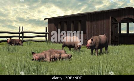 Cochon avec des porcelets dans l'herbe Banque D'Images