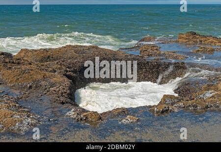 Thor's Well Sinkhole sur la côte de l'océan sur le cap Perpetua En Oregon Banque D'Images