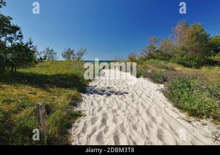 Entrée de plage 18, Dierhagen, quartier Neuhaus, Peninsula 'Fischland-Darss-Zingst', Parc National 'Vorpommmersche Boddenlandschaft', Mer Baltique, Mecklembourg-Poméranie-Occidentale, Allemagne Banque D'Images