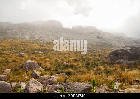 Brume roulant sur l'herbe verte brune poussant sur des rochers, paysage typique vu dans le parc national Andringitra, pendant le trek à pic Boby. Banque D'Images