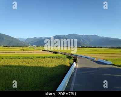 La vue aérienne de magnifiques champs de riz à taitung . Taïwan Banque D'Images