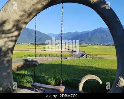 La vue aérienne de magnifiques champs de riz à taitung . Taïwan Banque D'Images