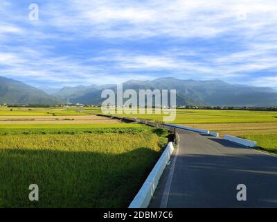 La vue aérienne de magnifiques champs de riz à taitung . Taïwan Banque D'Images