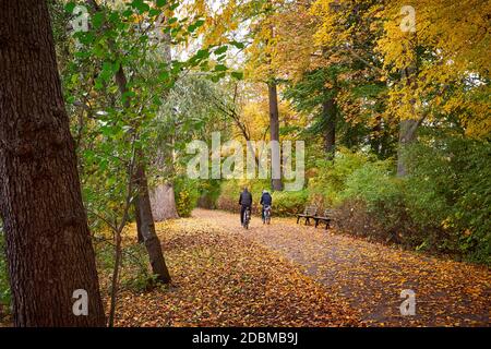 Central Park à Fürth Allemagne pendant la saison d'automne. Personnes non identifiées à vélo Banque D'Images