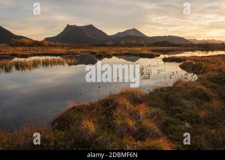 Petit étang de marais sur Gimsøy, îles Lofoten, Norvège Banque D'Images