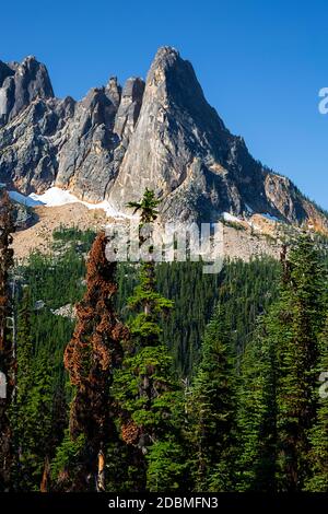 WA18163-00...WASHINGTON - vue sur Libery Bell et les pics des premiers vents depuis le Washington Pass, vue sur le North Cascades Scenic Byway. Banque D'Images