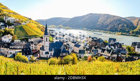 Église, maisons et vignobles d'Assmanshausen en automne jaune coloré. Vallée du Rhin moyen supérieur (Mittelrhein), à proximité de Rudesheim am Rhein, Lor Banque D'Images