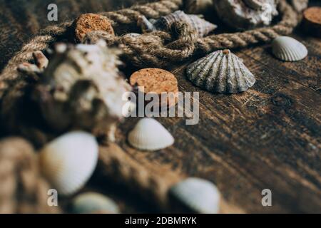 Divers coquillages et corde à amarrer sur fond en bois. Gros plan photo, mise au point selectiv. Modèle atmosphérique avec concept mer et voyage Banque D'Images