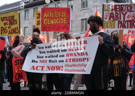 Ottawa, Canada. 17 novembre 2020. Plus de 300 personnes sont descendues dans les rues d'Ottawa pour protester contre la guerre dans la région du Tigray en Éthiopie et contre l'offensive menée par le premier ministre Abiy Ahmed. Ils se sont arrêtés devant l'ambassade des États-Unis d'Amérique pour exiger une intervention dans le conflit. Abiy, prix Nobel de la paix de l'année dernière, continue de rejeter les appels internationaux au dialogue et à la désescalade dans le conflit de deux semaines. Credit: Meanderingemu/Alamy Live News Banque D'Images