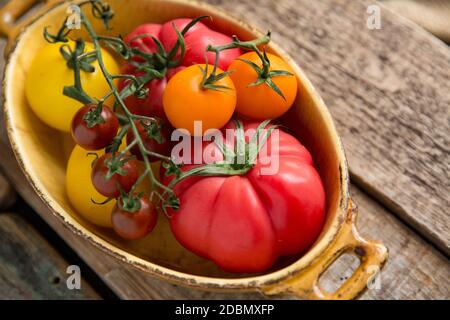 Une sélection de tomates entières à l'arrière-plan en bois. Angleterre GB Banque D'Images