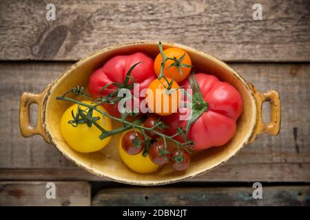 Une sélection de tomates entières à l'arrière-plan en bois. Angleterre GB Banque D'Images