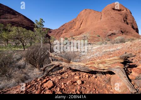 Paysage australien spectaculaire près d'Alice Springs, territoire du Nord, Australie. Banque D'Images