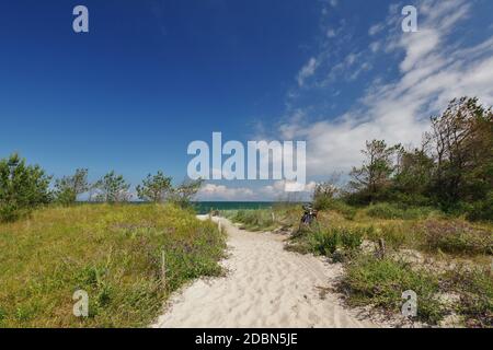 Entrée de plage 18, Dierhagen, quartier Neuhaus, Peninsula 'Fischland-Darss-Zingst', Parc National 'Vorpommmersche Boddenlandschaft', Mer Baltique, Mecklembourg-Poméranie-Occidentale, Allemagne Banque D'Images