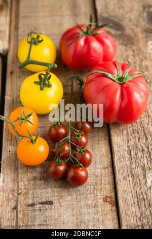 Une sélection de tomates entières à l'arrière-plan en bois. Angleterre GB Banque D'Images