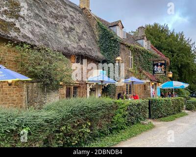 Les îles Falkland Arms, Chadlington, Oxfordshire, Angleterre, Royaume-Uni Banque D'Images