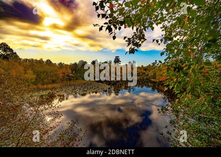 Automne à Lake Wood, UckFiled, East Sussex, Angleterre, Royaume-Uni. Banque D'Images