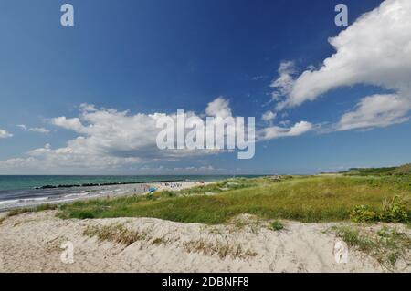 Sur la plage, Wustrow, Peninsula 'Fischland-Darss-Zingst', Parc National 'Vorpommmersche Boddenlandschaft', Mer Baltique, Mecklembourg-Poméranie-Occidentale, Allemagne Banque D'Images