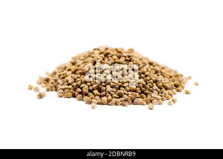 Tas de graines d'épinards pour la germination isolé sur un fond blanc Banque D'Images