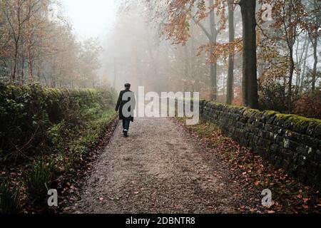 Une personne marche seule le long d'un chemin à travers un bois couvert de brume près du réservoir Swinsty près d'Otley, dans le North Yorkshire. ROYAUME-UNI Banque D'Images