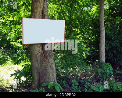 Panneau d'affichage vierge sur les arbres dans la forêt Banque D'Images