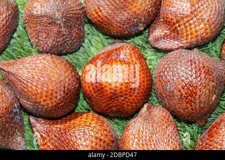 Prise de vue plein format de fruits à serpent. Salak pondoh est l'un des cultivars de salak qui pousse principalement dans la région de Bali. Gros plan sur Sweet Salaca zalacca. Tast Banque D'Images