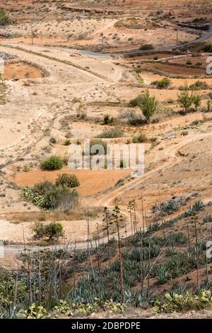 Paysage de champs et de montagnes près du village d'Antigua, Fuerteventura, îles Canaries, Espagne Banque D'Images