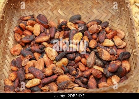 Peignoir en osier composé de bandes de bambou remplies de fèves de cacao frais. Gros plan des fèves de cacao décortiquées de la gousse de cacao. Les grains de cacao sont répartis pour le séchage Banque D'Images