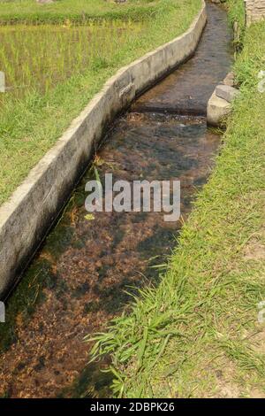 Canal d'irrigation appelé subak, une façon traditionnelle d'apporter l'eau aux champs et les terrasses de riz dans la région de Jatiluwih. Méthode originale d'irrigation Banque D'Images