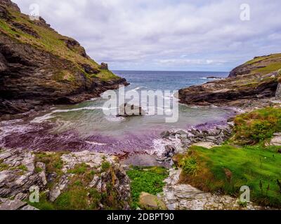 L'Anse de Tintagel en Cornouailles - un monument populaire au château de Tintagel Banque D'Images