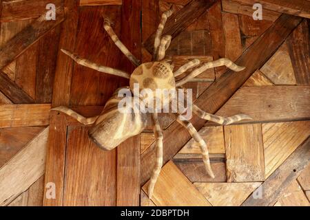 Grande tarantula sur le mur de planches rabotées. Statue énorme araignée en bois. Araignée jouet brune sur le plancher en bois. Mise au point sélective. Banque D'Images