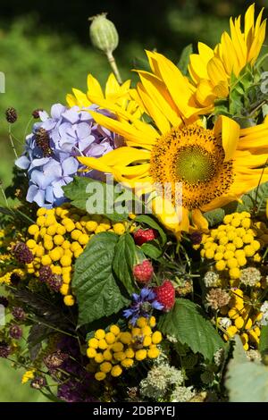 bouquets faits main de fleurs et d'herbes Banque D'Images