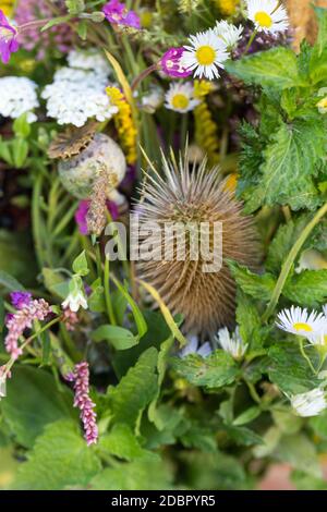 bouquets faits main de fleurs et d'herbes Banque D'Images