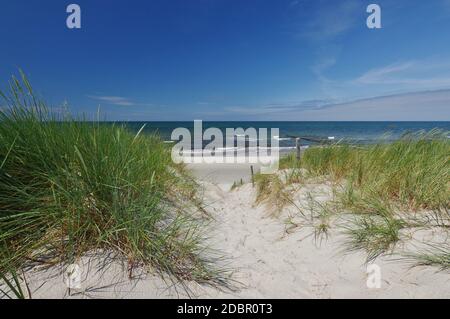 Sur la plage, près de la mer Baltique spa Graal-Mühritz, Mecklembourg-Poméranie-Occidentale, Allemagne Banque D'Images