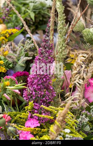 bouquets faits main de fleurs et d'herbes Banque D'Images