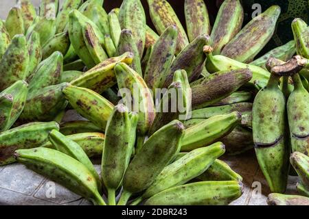 Dans un marché de la banane à Victoria sur l'île de Mahé aux Seychelles dans l'océan indien Banque D'Images