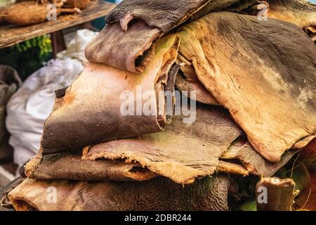 Poissons de requin séchées sur un marché à Victoria, capitale des Seychelles Banque D'Images