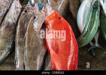 Pêchez sur un marché à Victoria, Seychelles Banque D'Images