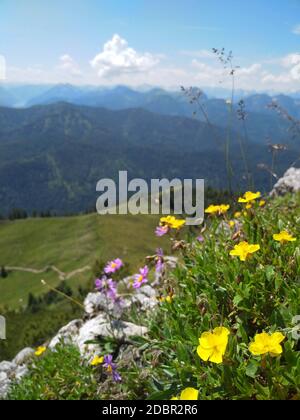 Randonnée sur la montagne Roß-und Buchstein en Bavière Banque D'Images