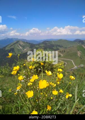 Randonnée sur la montagne Roß-und Buchstein en Bavière Banque D'Images