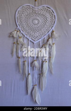 Coeur en forme de chat de rêve avec plumes de paon beige à l'intérieur. Banque D'Images