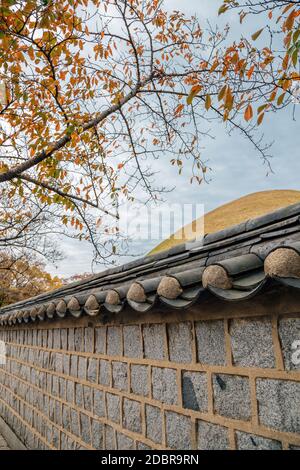 Daereungwon tombe sur une passerelle en pierre à l'automne à Gyeongju, en Corée Banque D'Images