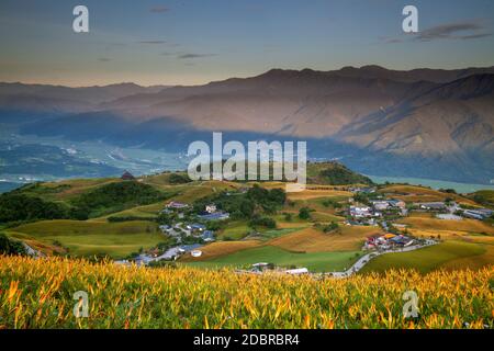 La vue aérienne de la célèbre et belle fleur hémérocalle soixante à Stone Mountain à Hualien Taiwan Banque D'Images