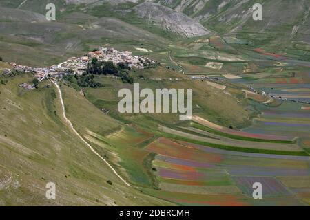 Castelluccio di Norcia, Italie - juillet 2020 : la ville est encore en reconstruction après le tremblement de terre de 2016, pendant l'été tourisme et l'agriculture ont lieu Banque D'Images