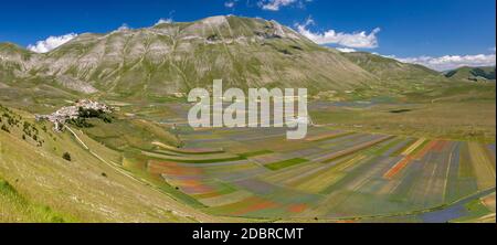 Castelluccio di Norcia, Italie - juillet 2020: Large vue avec la ville sur la gauche encore en reconstruction après le tremblement de terre de 2016 et les champs de lentilles colorfull sur la gauche Banque D'Images