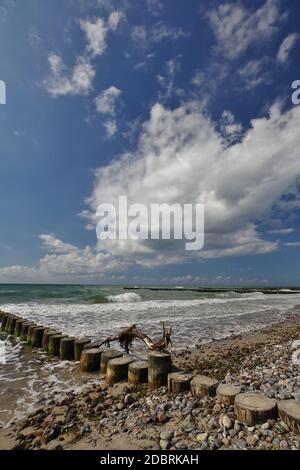 Sur la plage, Wustrow, Peninsula 'Fischland-Darss-Zingst', Parc National 'Vorpommmersche Boddenlandschaft', Mer Baltique, Mecklembourg-Poméranie-Occidentale, Allemagne Banque D'Images