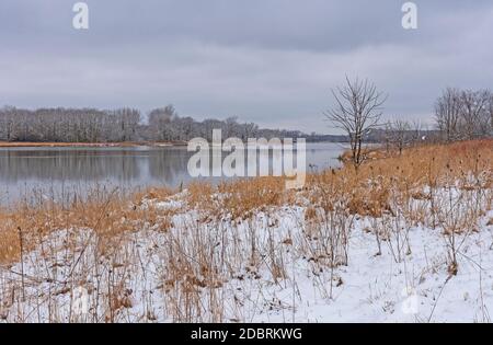 Neige au début du printemps sur les graminées des Prairies à Ned Brown Conserver dans l'Illinois Banque D'Images
