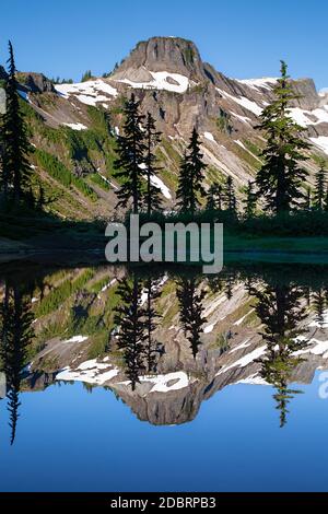 WA18184-00...WASHINGTON - Table Mountain se reflétant dans un petit tarn La région pittoresque de Heather Meadows du Mont Baker - Forêt nationale de Snoqualmie Banque D'Images