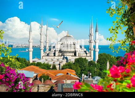 Mouettes sur la Mosquée Bleue et le Bosphore à Istanbul, Turquie Banque D'Images