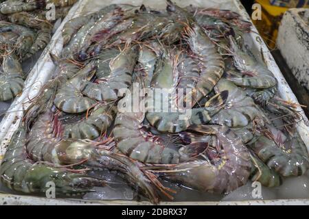 Motif de crevettes fraîches se vendant sur un comptoir de fruits de mer à Jimbaran. Pasar Ikan Kedonganan - Bali plage. Crevettes fraîches sur le marché de poissons local. Bouquet de Banque D'Images