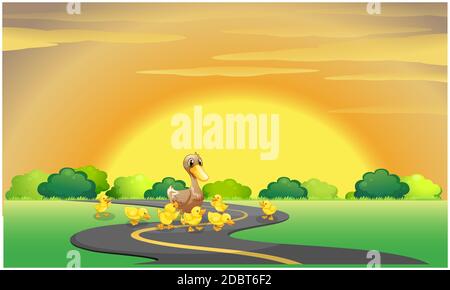 mère canard avec ses bébés jouant sur la route Banque D'Images